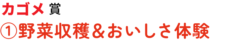 [カゴメ賞](1)野菜収穫＆おいしさ体験
