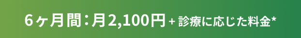6ヶ月間：月2,100円 + 診療に応じた料金*