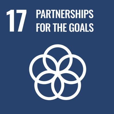 17.Partnerships for the Goals 